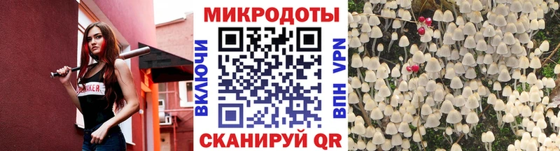 Купить  Новый Оскол  Галлюциногенные грибы мицелий 